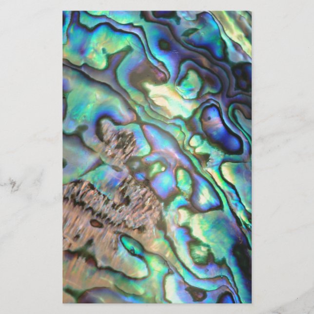 Blaugrün pauschal abalone Muschel (Vorderseite)