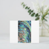 Blaugrün pauschal abalone Muschel Postkarte (Stehend Vorderseite)