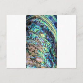 Blaugrün pauschal abalone Muschel Postkarte