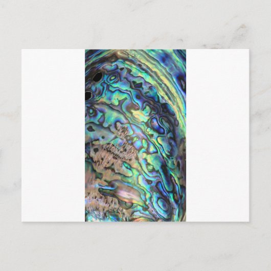 Blaugrün pauschal abalone Muschel Postkarte (Vorderseite)