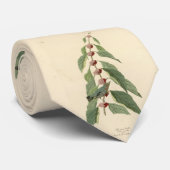 Blaugrün von Audubons Vögeln von Amerika Krawatte (Gerollt)