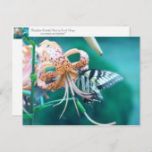 Blaugrüner Schmetterling Postkarte (Vorne/Hinten)