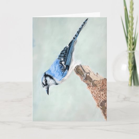 Blauhäher Blank Karte (Vorderseite)