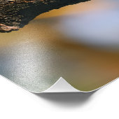 Blauhäher Fotodruck (Ecke)