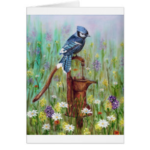 Blauhäher: friedliche Stange