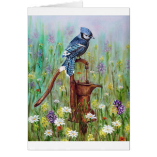 Blauhäher: friedliche Stange