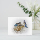 Blauhäher im Winter Postkarte (Stehend Vorderseite)