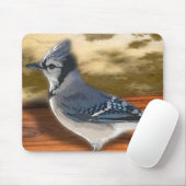 BLAUHÄHER MOUSEPAD (Mit Mouse)