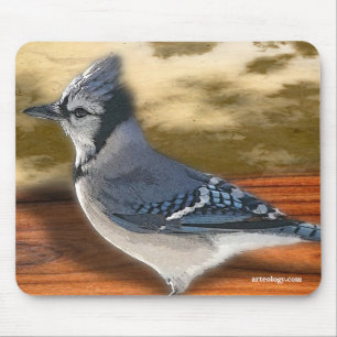 BLAUHÄHER MOUSEPAD