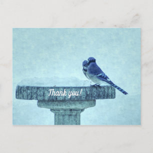 Blauhäher-Winterfütterung Malerisch Danke Postkarte