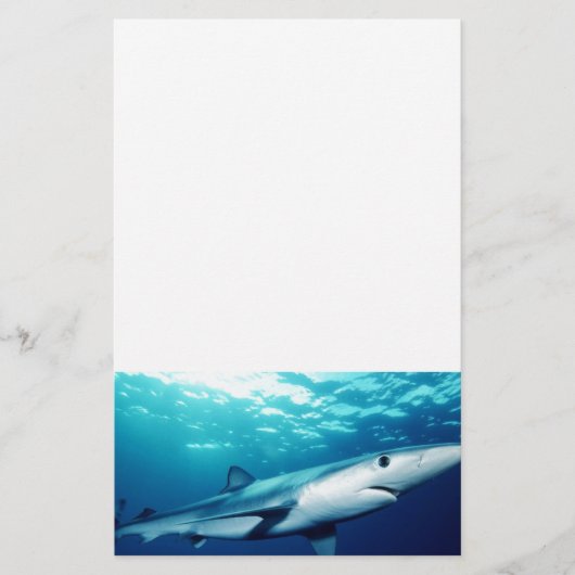 Blauhai Briefpapier (Vorderseite)
