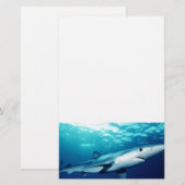 Blauhai Briefpapier (Vorne/Hinten)