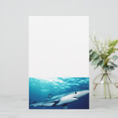 Blauhai Briefpapier (Stehend Vorderseite)