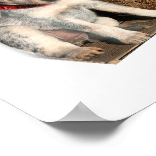 Blauhelm-Western Poster (Ecke)