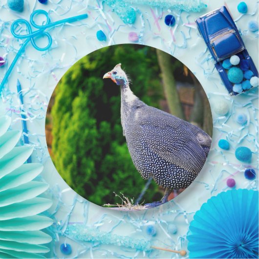 Blauhelme Guinea Fowl Pappteller (Party)