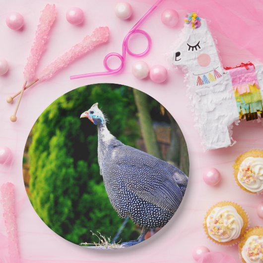 Blauhelme Guinea  Fowl Pappteller (Party)