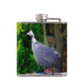 Blauhelme Guinea Fowl stehend in der Sonne Flachmann (Rückseite)