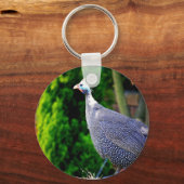 Blauhelme Guinea Fowl stehend in der Sonne Schlüsselanhänger (Vorderseite)