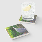 Blauhelme Guinea Fowl stehend in der Sonne Steinuntersetzer (Seitenansicht)