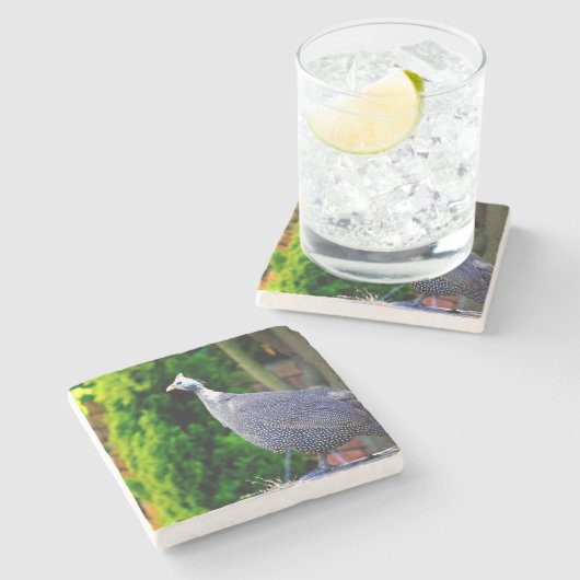 Blauhelme Guinea Fowl Steinuntersetzer (Seitenansicht)