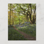 Blauholz Postkarte (Vorderseite)