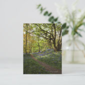 Blauholz Postkarte (Stehend Vorderseite)