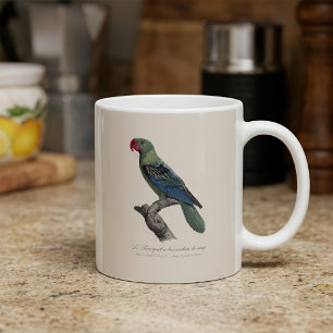 Blaukappenpapagei, Tanygnathus Megalorynchos Kaffeetasse