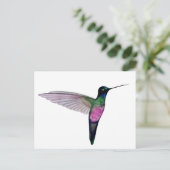 Blaukehl-Sternkolibri Postkarte (Stehend Vorderseite)