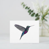 Blaukehl-Sternkolibri Postkarte (Stehend Vorderseite)
