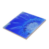 Blaukehlchen Fliese (Seite)