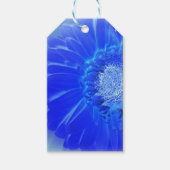 Blaukehlchen Geschenkanhänger (Vorderseite)