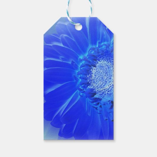 Blaukehlchen Geschenkanhänger (Vorderseite)