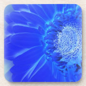 Blaukehlchen Getränkeuntersetzer (Vorderseite)