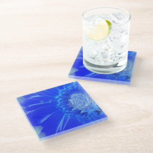 Blaukehlchen Glasuntersetzer