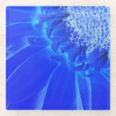 Blaukehlchen Glasuntersetzer (Vorderseite)