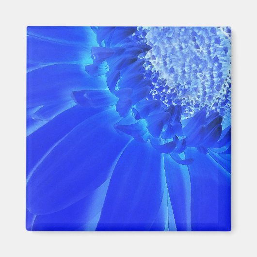 Blaukehlchen Magnet (Vorne)