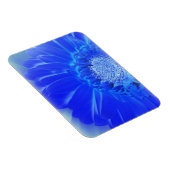 Blaukehlchen Magnet (Rechte Seite)