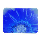 Blaukehlchen Magnet (Horizontal)