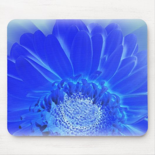 Blaukehlchen Mousepad (Vorne)