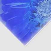 Blaukehlchen Seidenpapier (Ausschnitt)