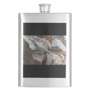 BlaukopfAgama Flachmann