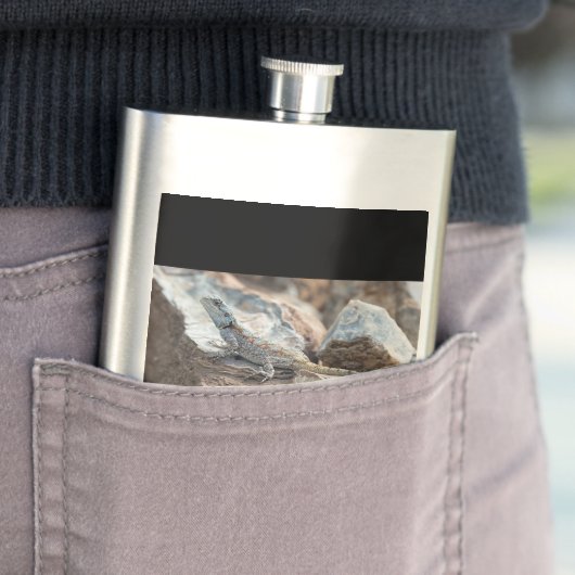 BlaukopfAgama Flachmann (Beispiel)