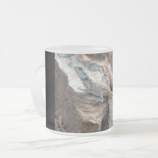 BlaukopfAgama Mattglastasse (Vorderseite Links)