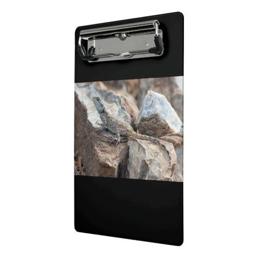 BlaukopfAgama Mini Klemmbrett (Gewinkelt2)