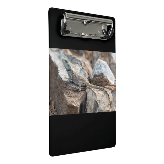 BlaukopfAgama Mini Klemmbrett (Schrägansicht)