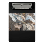 BlaukopfAgama Mini Klemmbrett (Vorderseite)