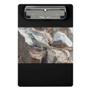 BlaukopfAgama Mini Klemmbrett