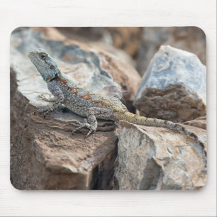 BlaukopfAgama Mousepad
