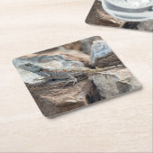 BlaukopfAgama Rechteckiger Pappuntersetzer (angewinkelt)