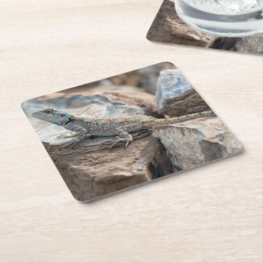 BlaukopfAgama Rechteckiger Pappuntersetzer (angewinkelt)